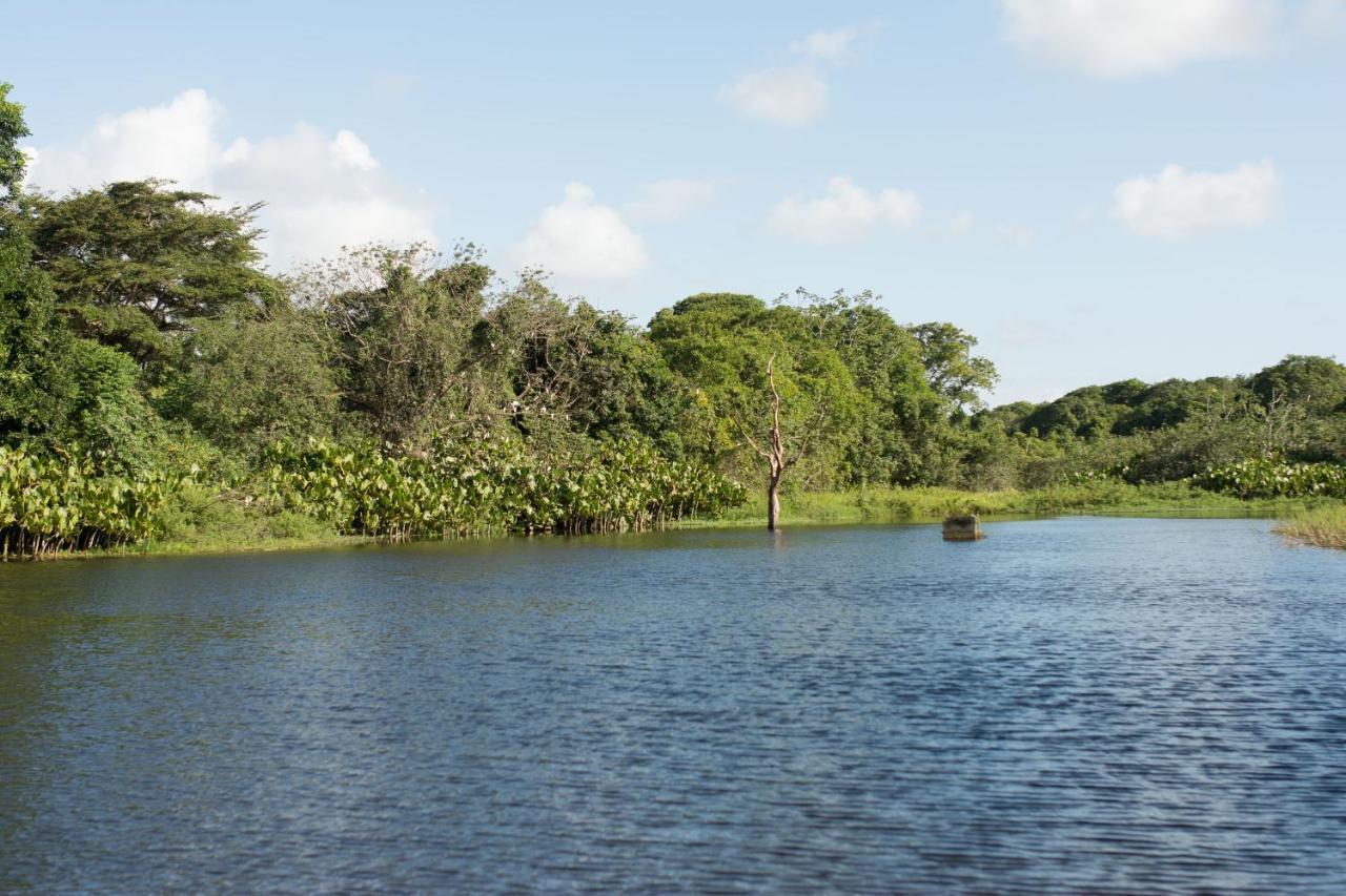 Rio Das Garcas Eco Resort São José de Mipibu Buitenkant foto