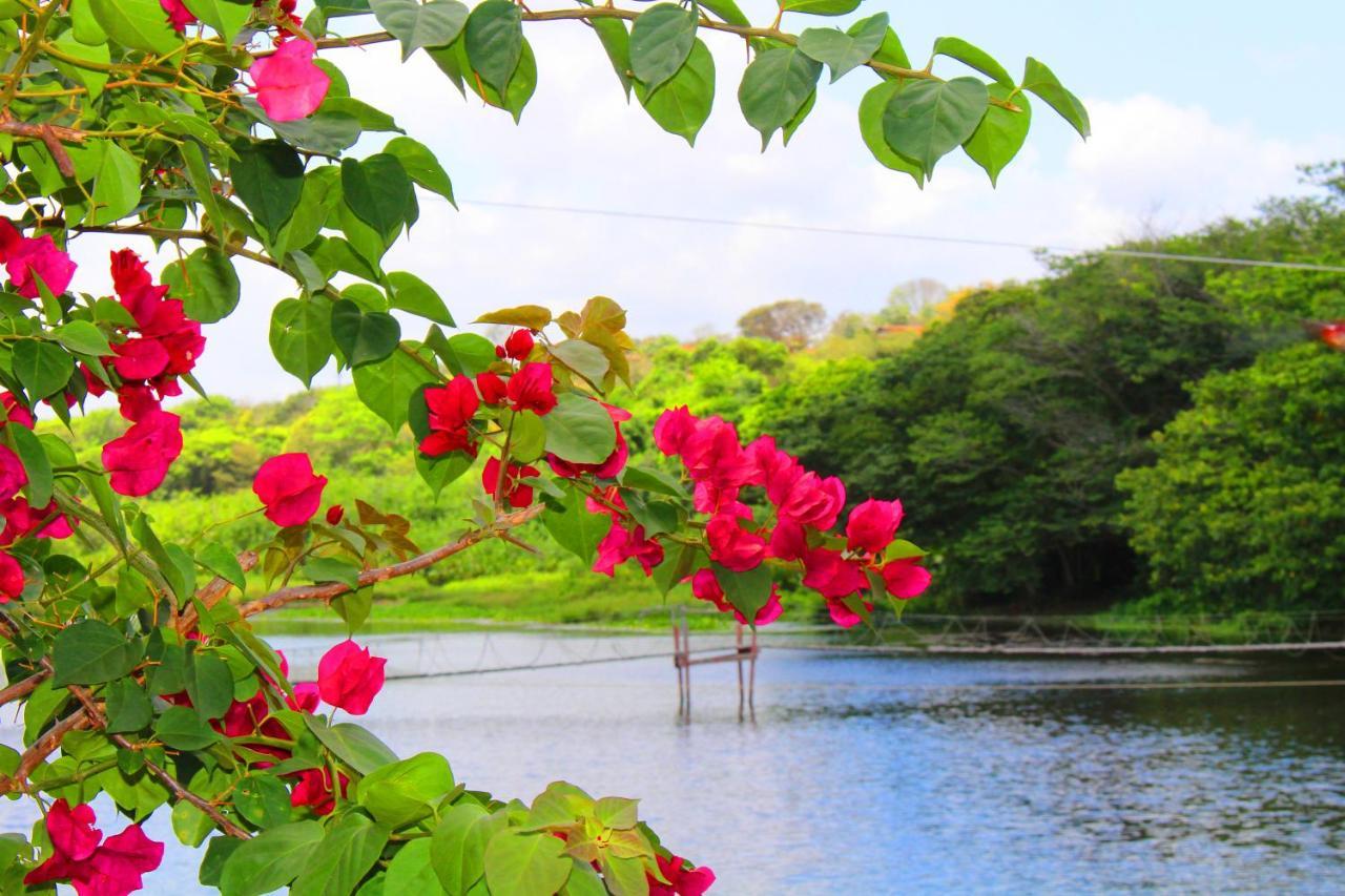 Rio Das Garcas Eco Resort São José de Mipibu Buitenkant foto